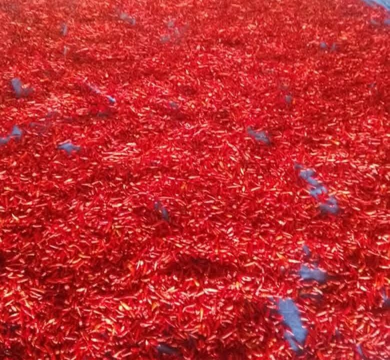 Bird's Eye Chilli — Fresh Red